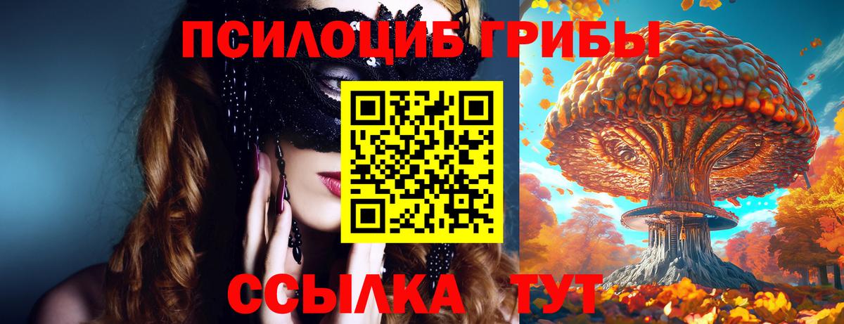 Магадан  закладка  Вход с VPN  Псилоцибиновые грибы Cubensis 